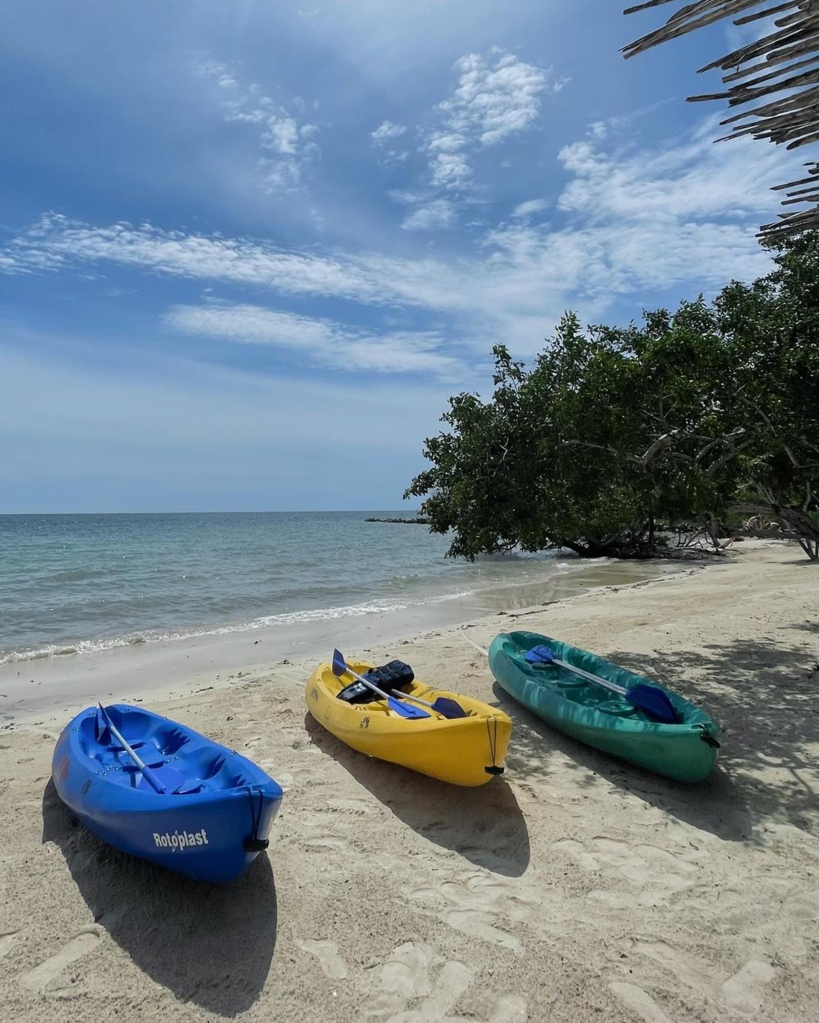بارو بلايا إيكو بيتش ريزورت Isla Barú المظهر الخارجي الصورة