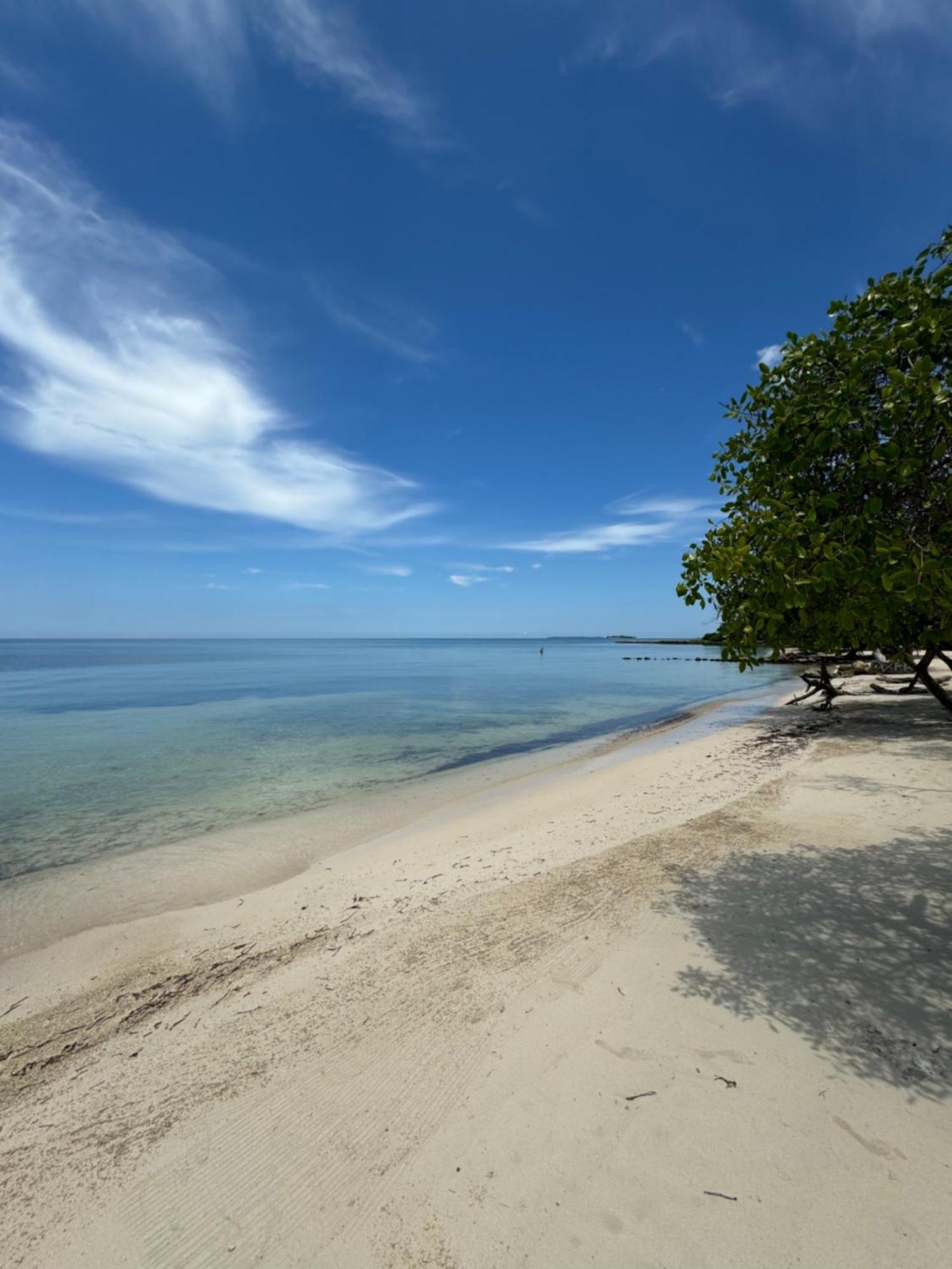 بارو بلايا إيكو بيتش ريزورت Isla Barú المظهر الخارجي الصورة
