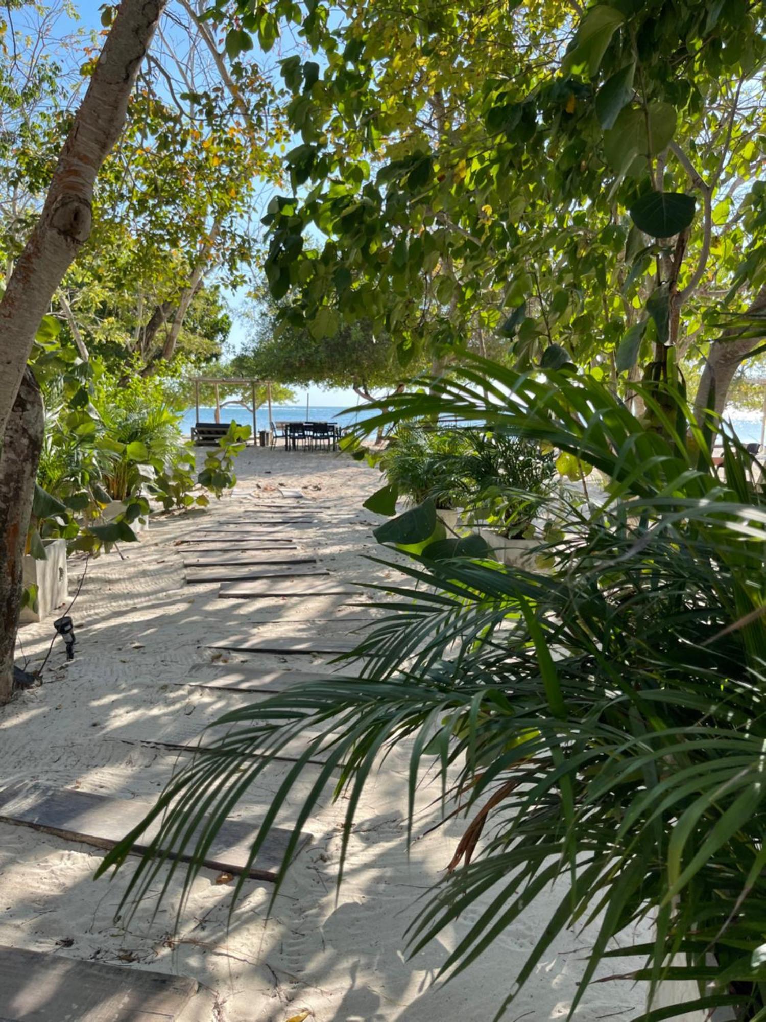 بارو بلايا إيكو بيتش ريزورت Isla Barú المظهر الخارجي الصورة