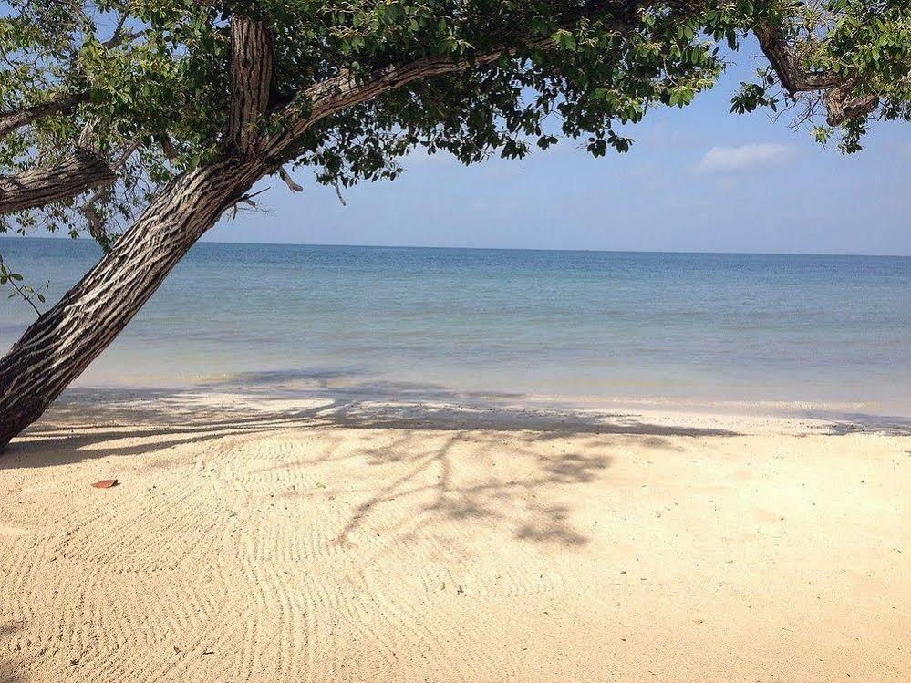 بارو بلايا إيكو بيتش ريزورت Isla Barú المظهر الخارجي الصورة